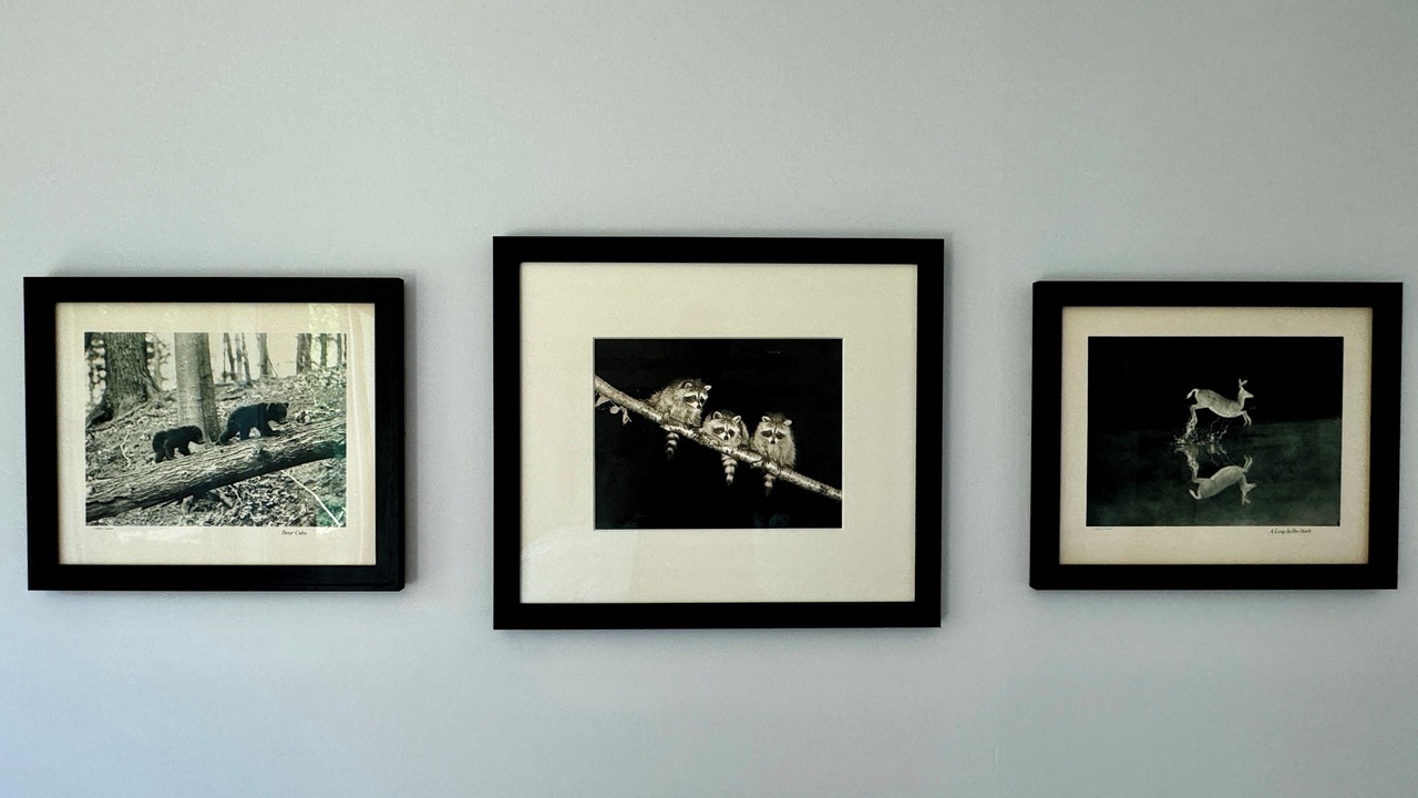 Photo of Others in Dorset