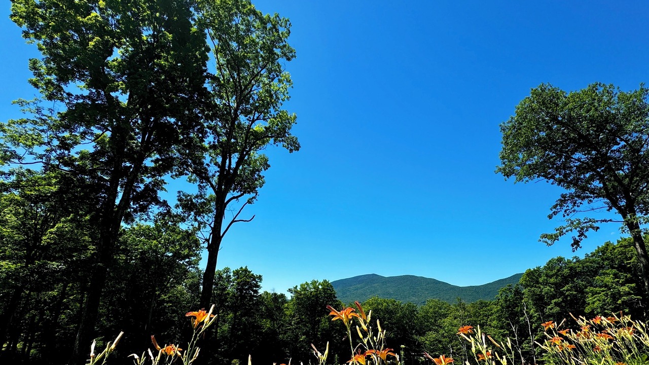 Photo of Outdoor in Dorset