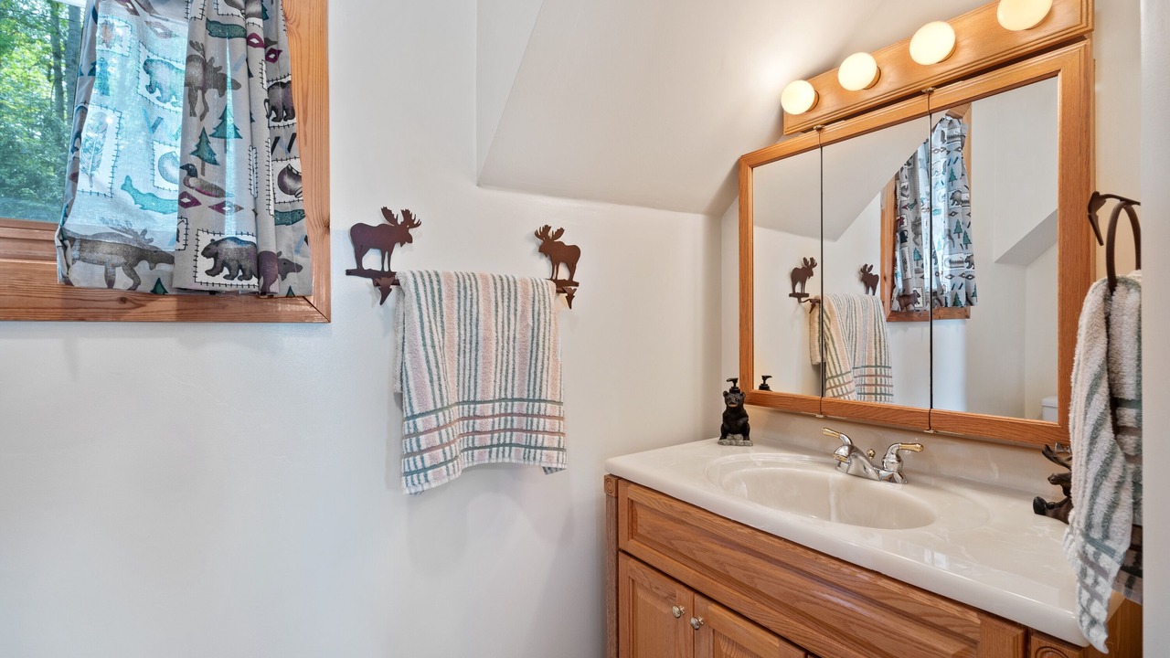 Photo of Bathroom in Reed City