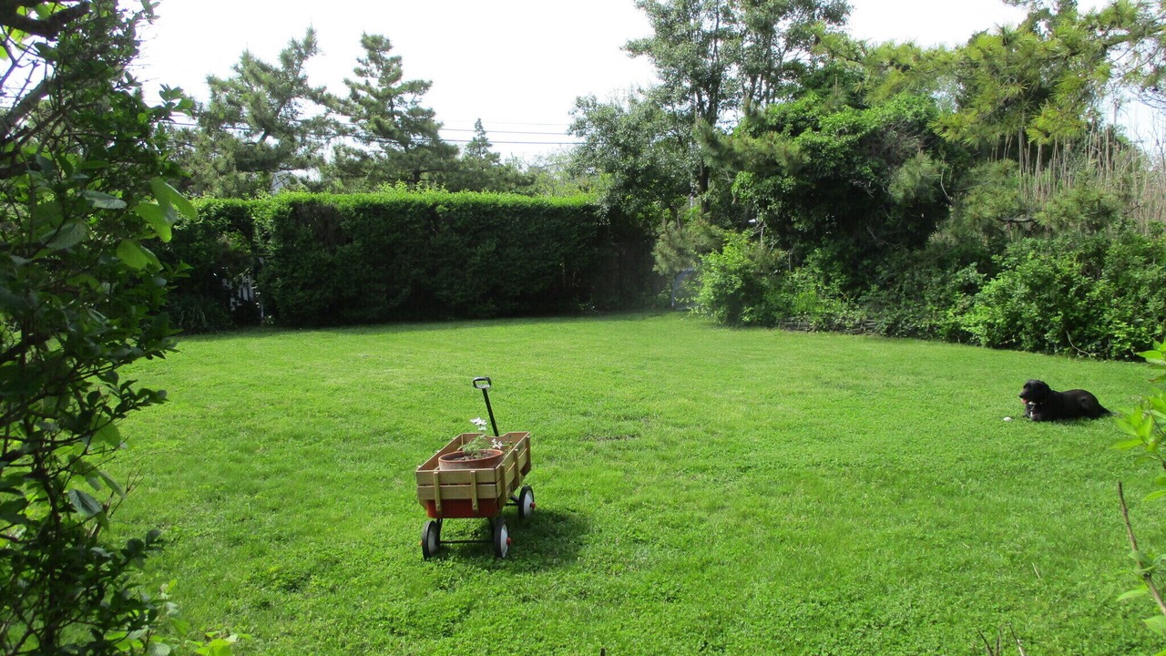 Photo of Outdoor in Avon