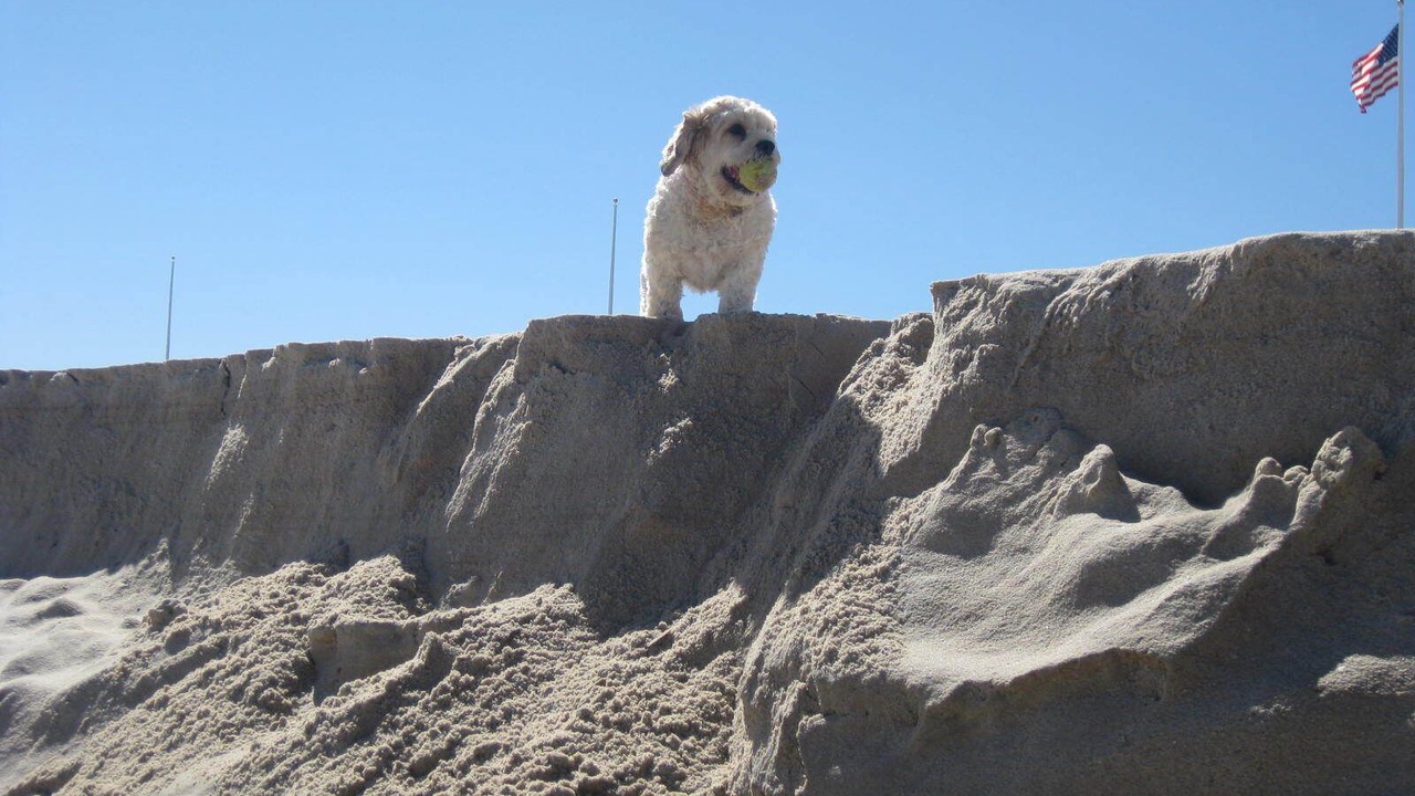 Photo of Others in Avon