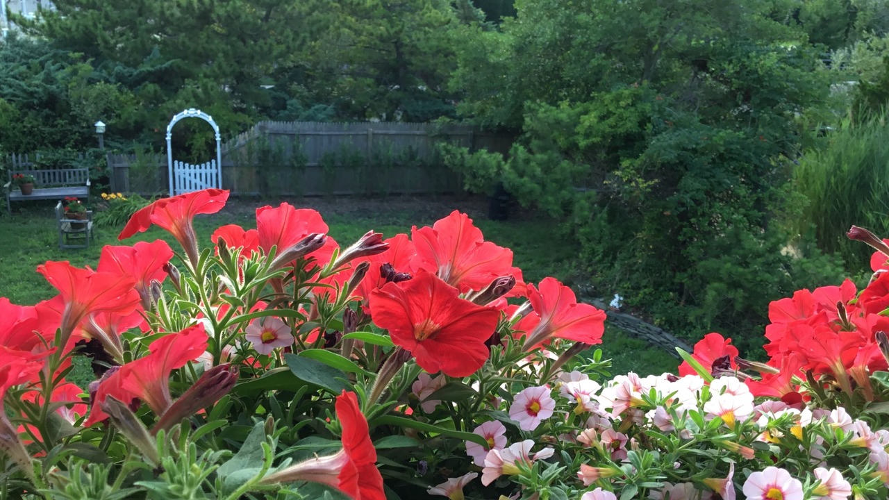 Photo of Outdoor in Avon