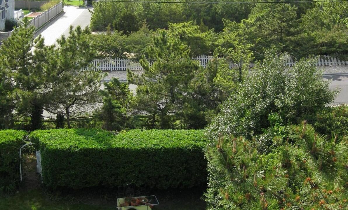 Photo of Outdoor in Avon