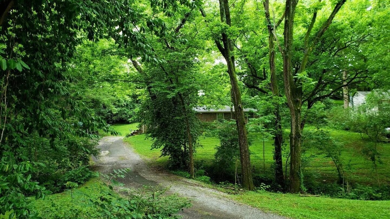 Photo of Others in Donelson Hills