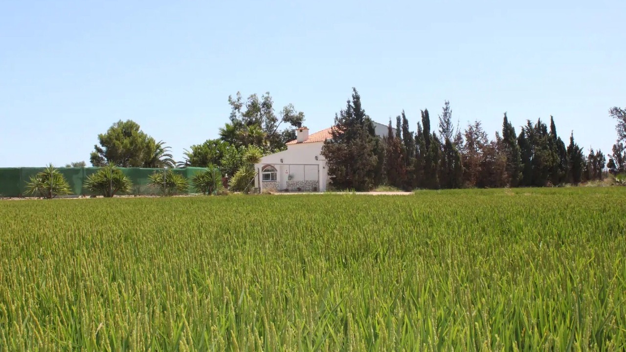 Photo of Outdoor in Sant Jaume d'Enveja