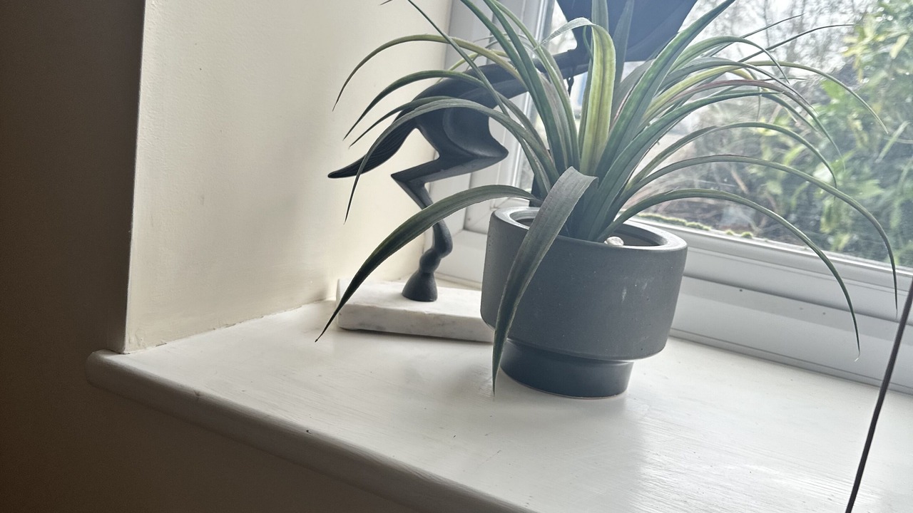 Photo of Others in Much Birch