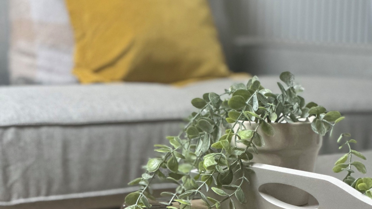 Photo of Others in Much Birch