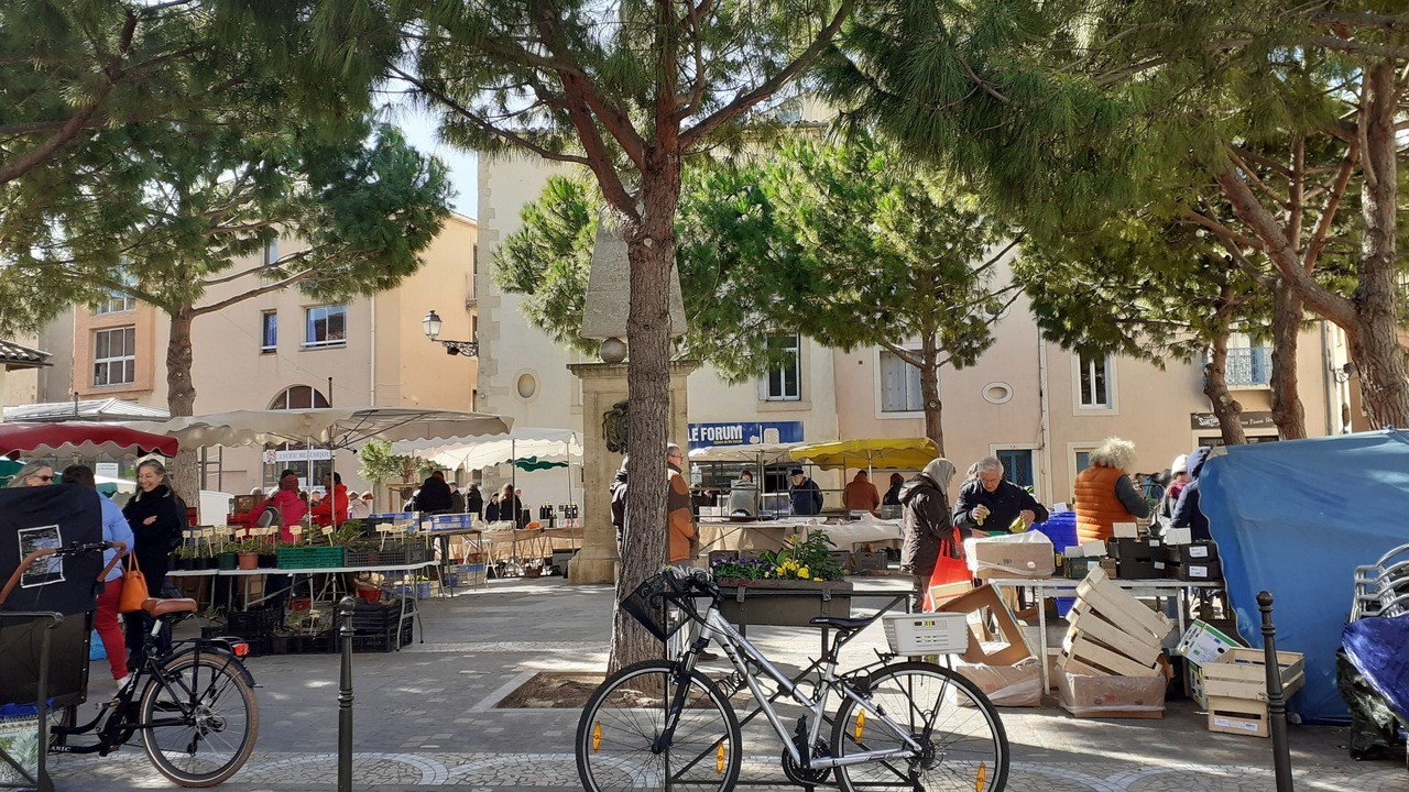 Photo of Outdoor in Lezignan-Corbieres