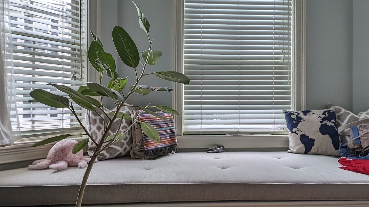 Photo of Others in Brookline