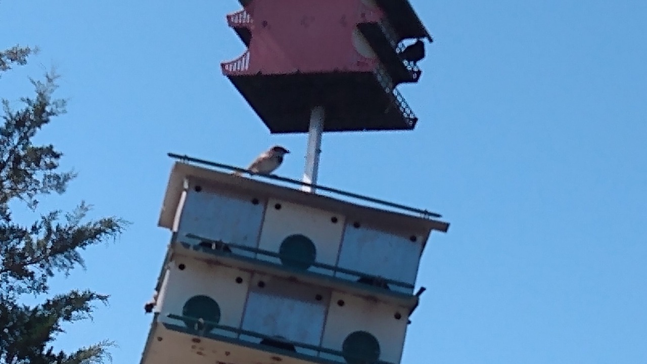 Photo of Others in Bowers Beach