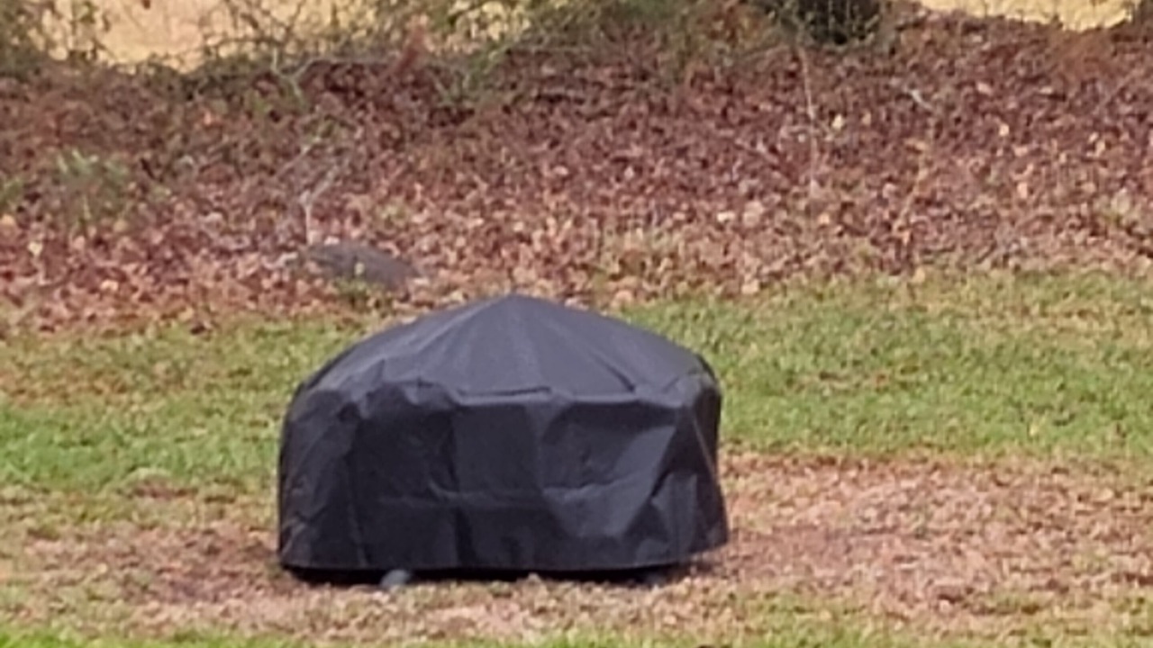 Photo of Outdoor in Deep Run