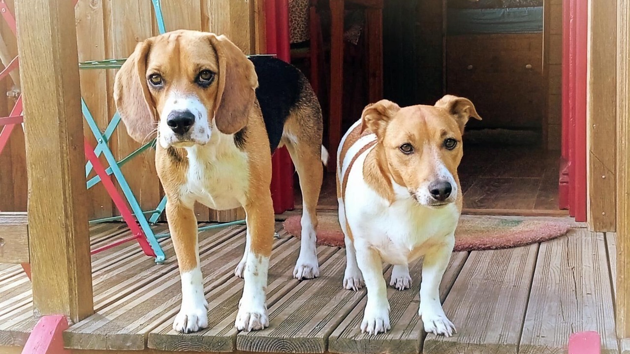 Photo of Outdoor in Wasigny