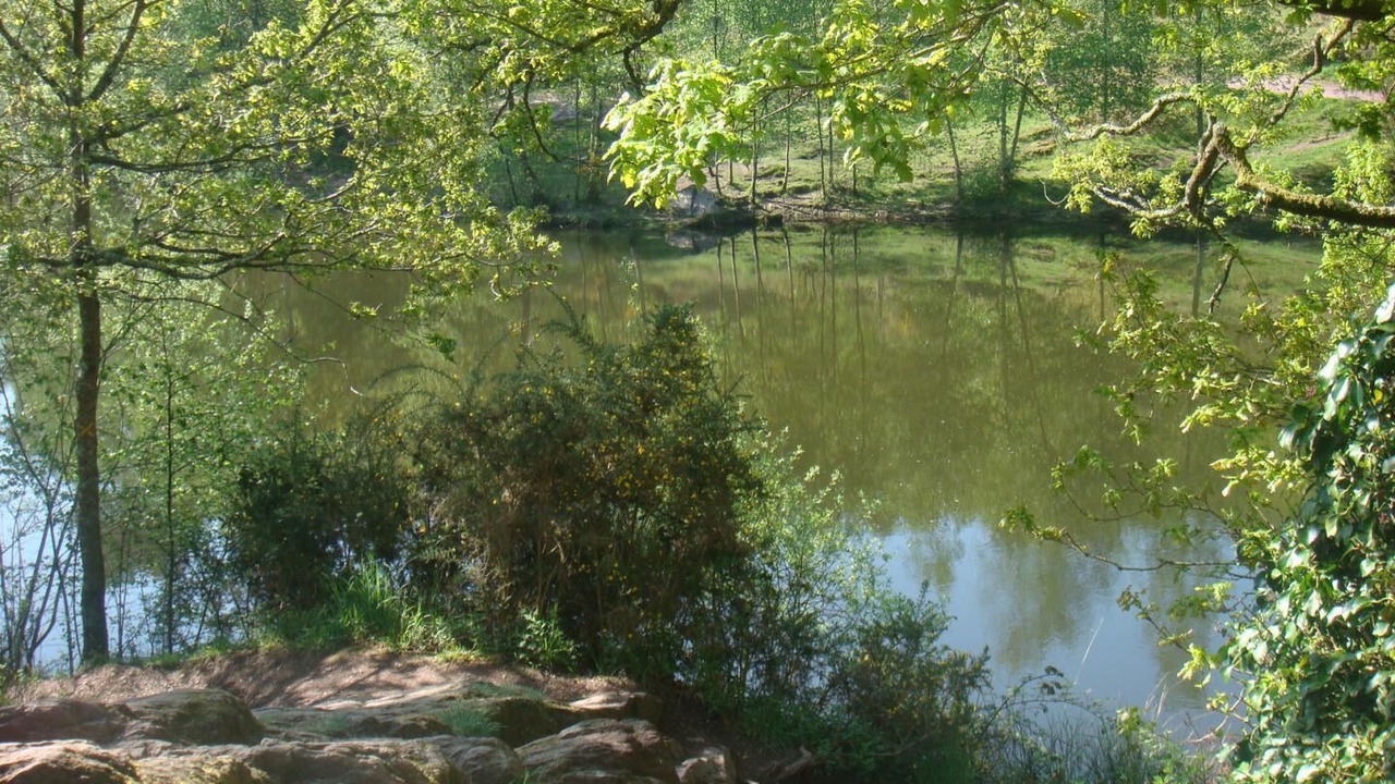 Photo of Others in Paimpont