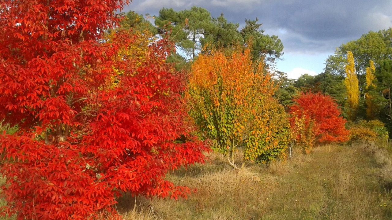 Photo of Outdoor in Huisseau-sur-Cosson