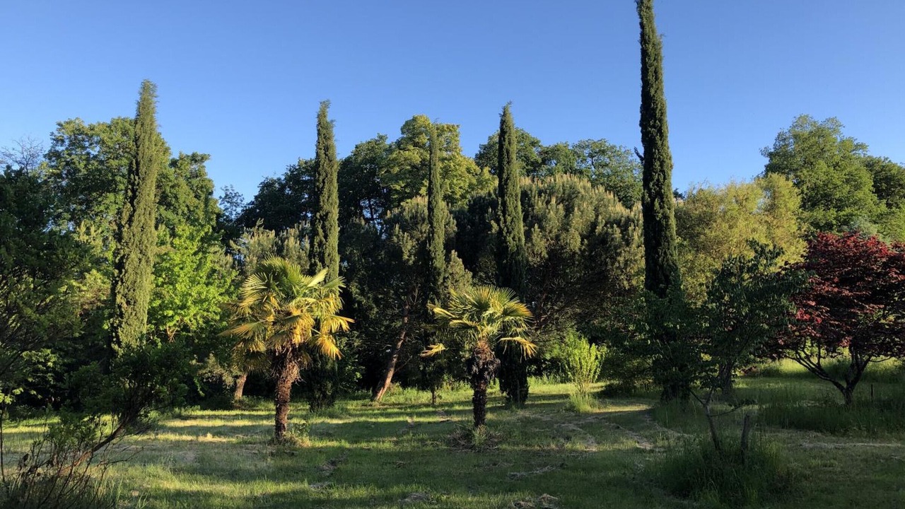 Photo of Others in Huisseau-sur-Cosson