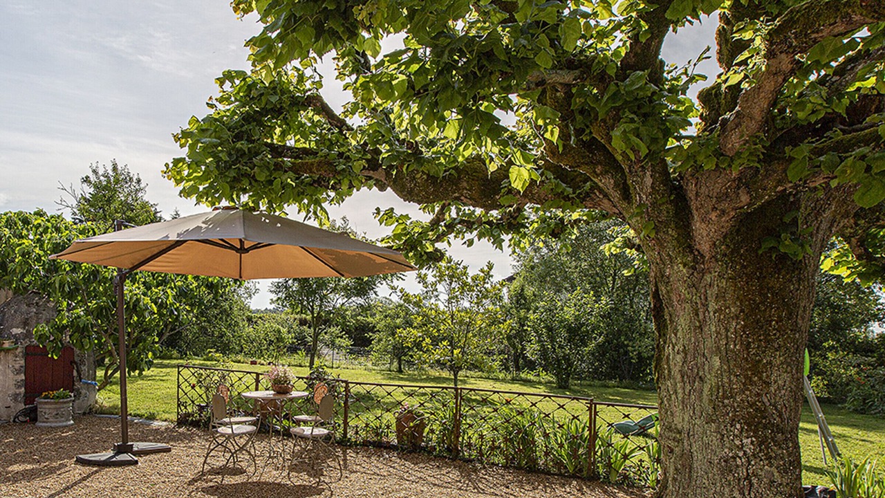 Photo of Outdoor in Cour-Cheverny