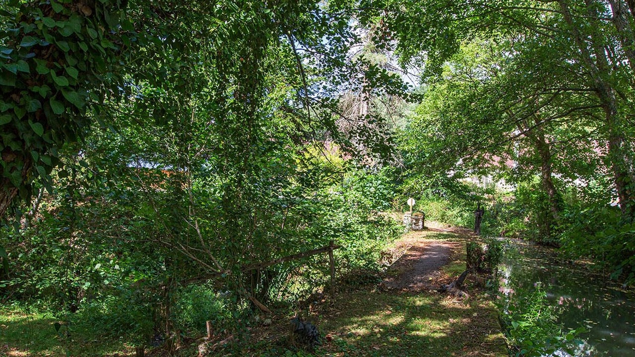 Photo of Outdoor in Saint-Georges-sur-Cher