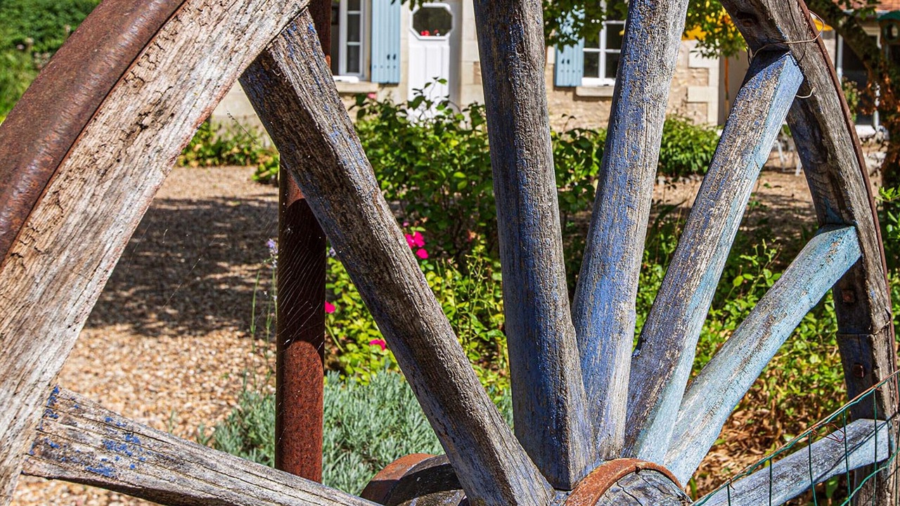 Photo of Outdoor in Saint-Georges-sur-Cher