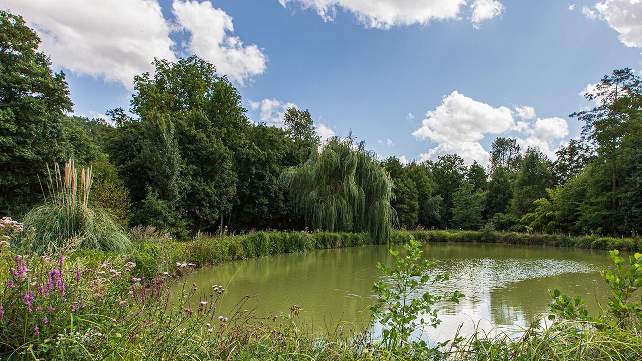 Photo of Outdoor in Saint-Georges-sur-Cher