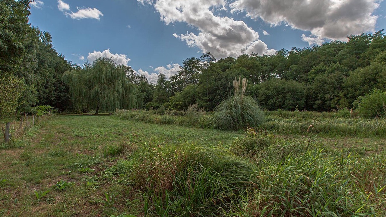 Photo of Outdoor in Saint-Georges-sur-Cher