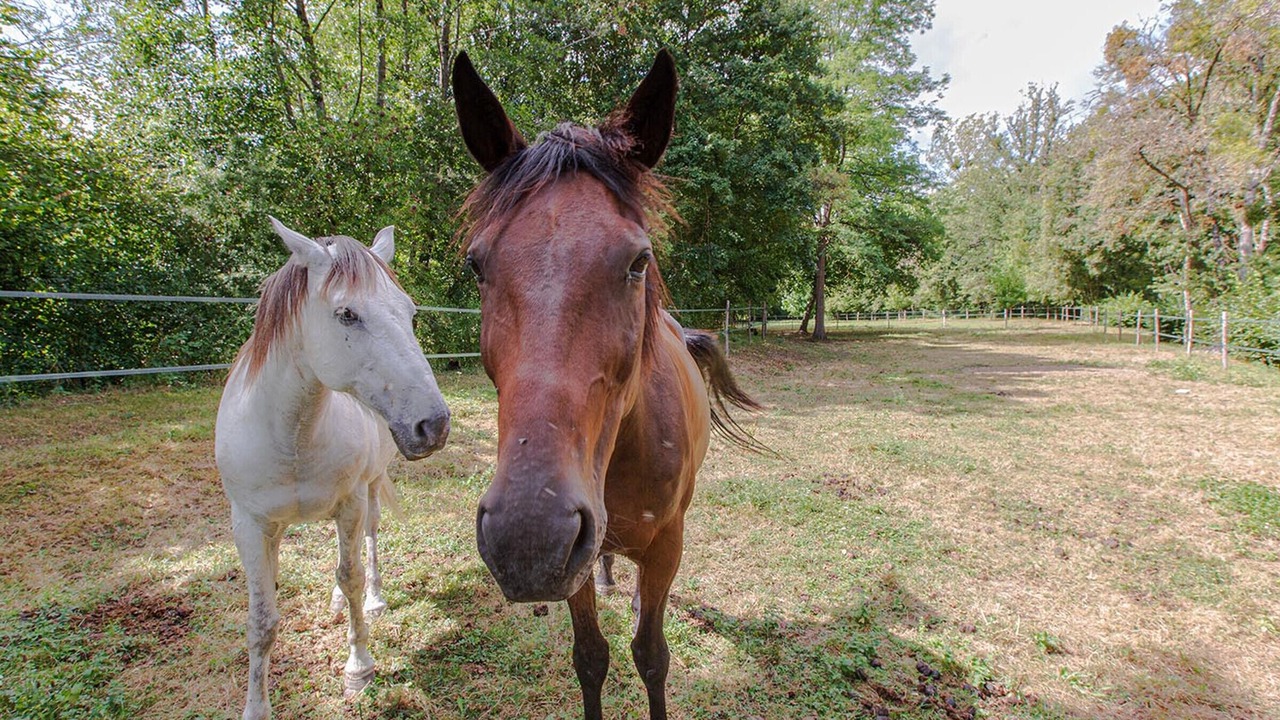Photo of Outdoor in Saint-Georges-sur-Cher