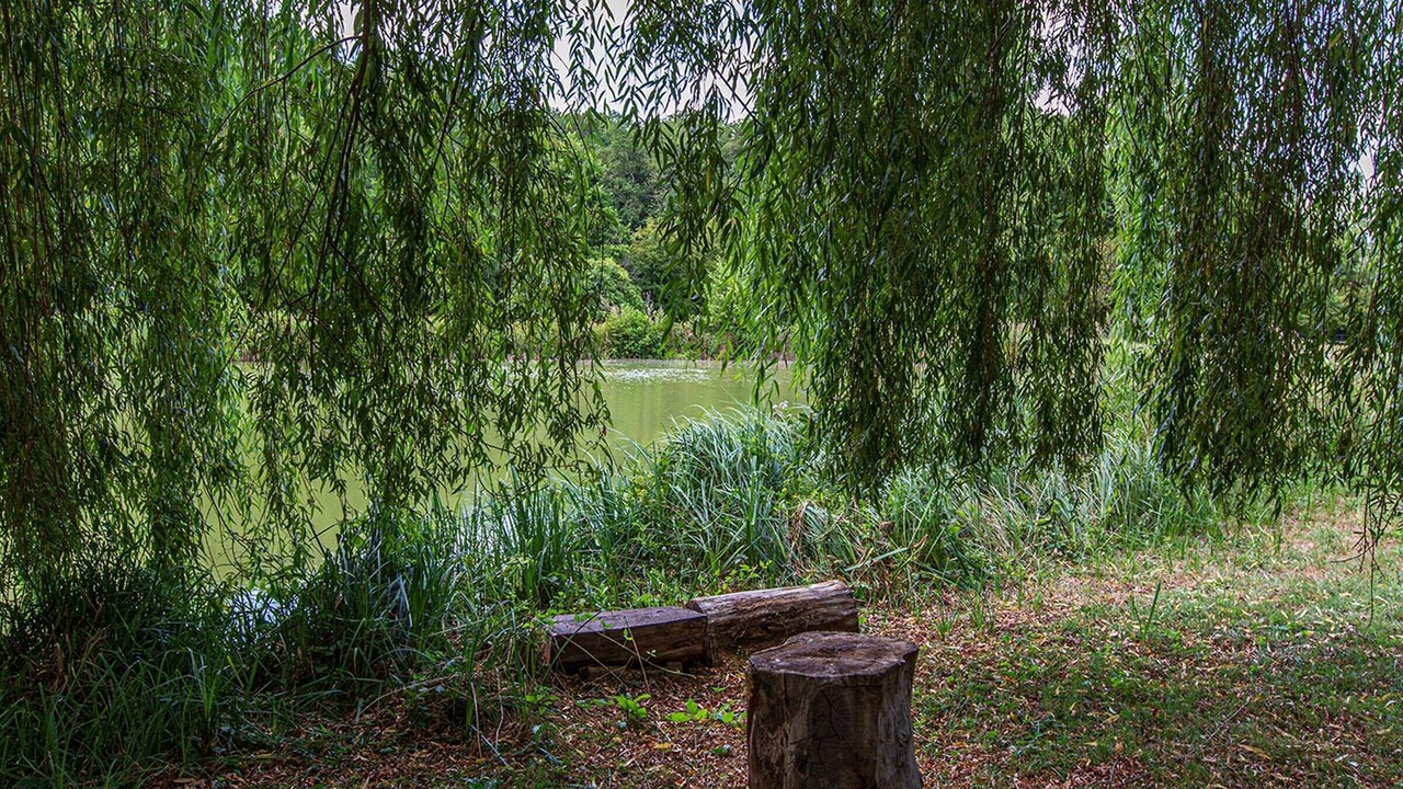 Photo of Outdoor in Saint-Georges-sur-Cher