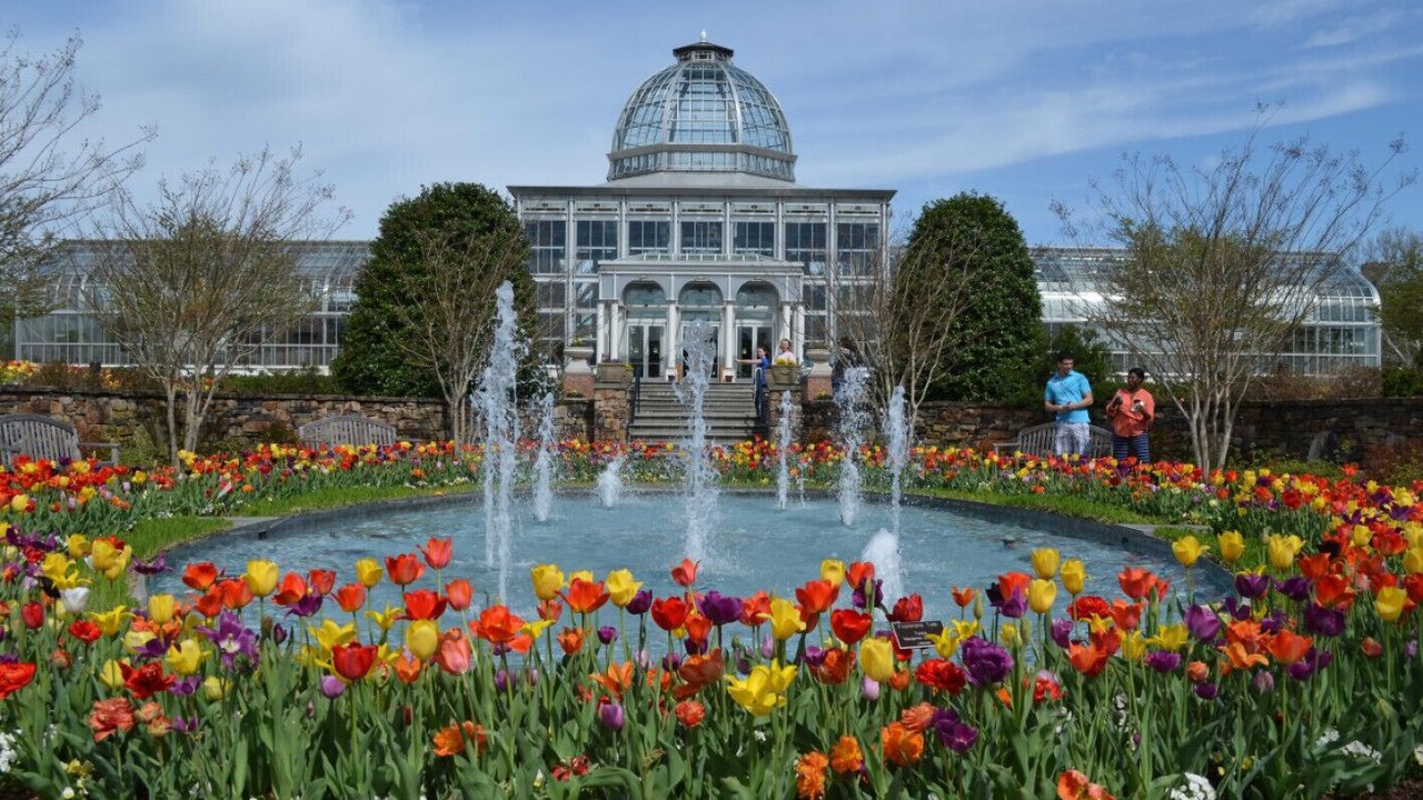Photo of Outdoor in South Richmond