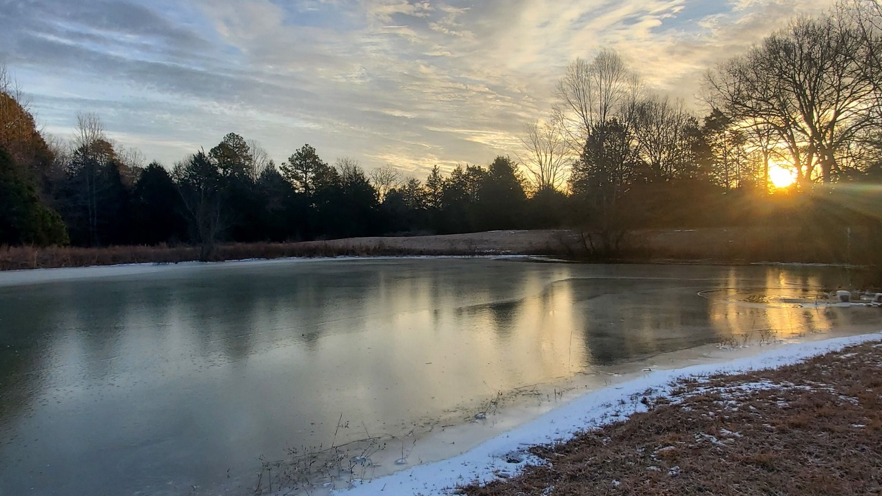 Photo of Outdoor in Quitman