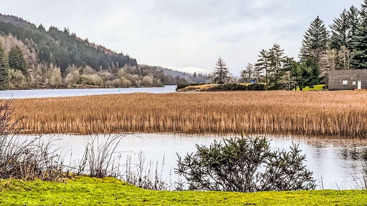 Photo of Others in South Laggan