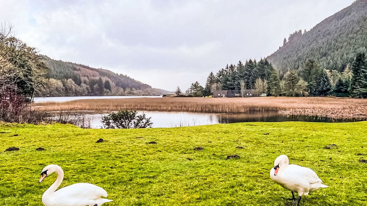 Photo of Others in South Laggan