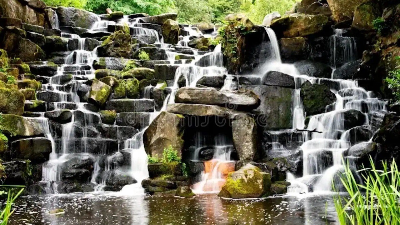 Photo of Others in Runnymede