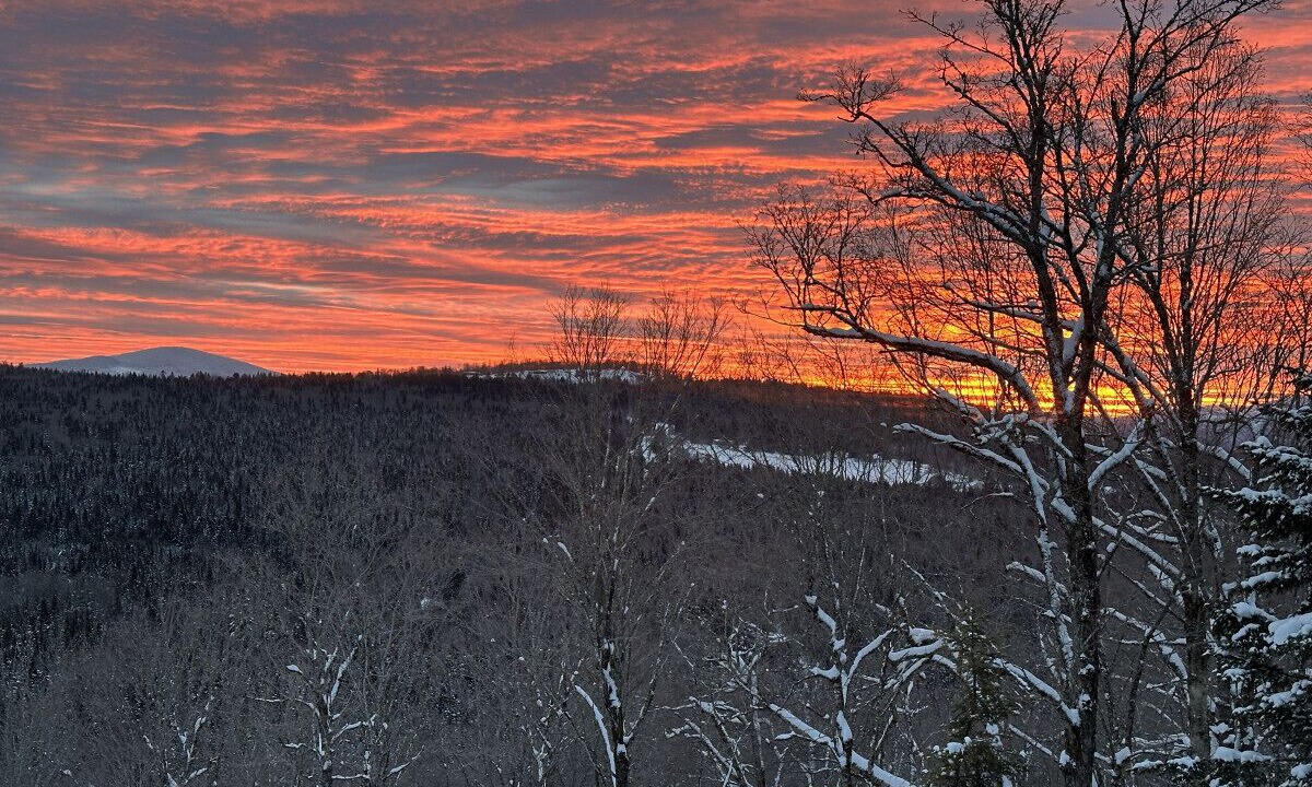 Photo of Others in Pittsburg