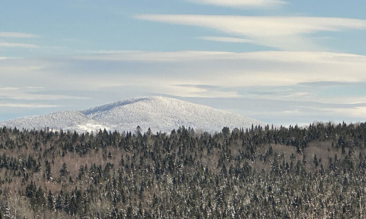 Photo of Others in Pittsburg