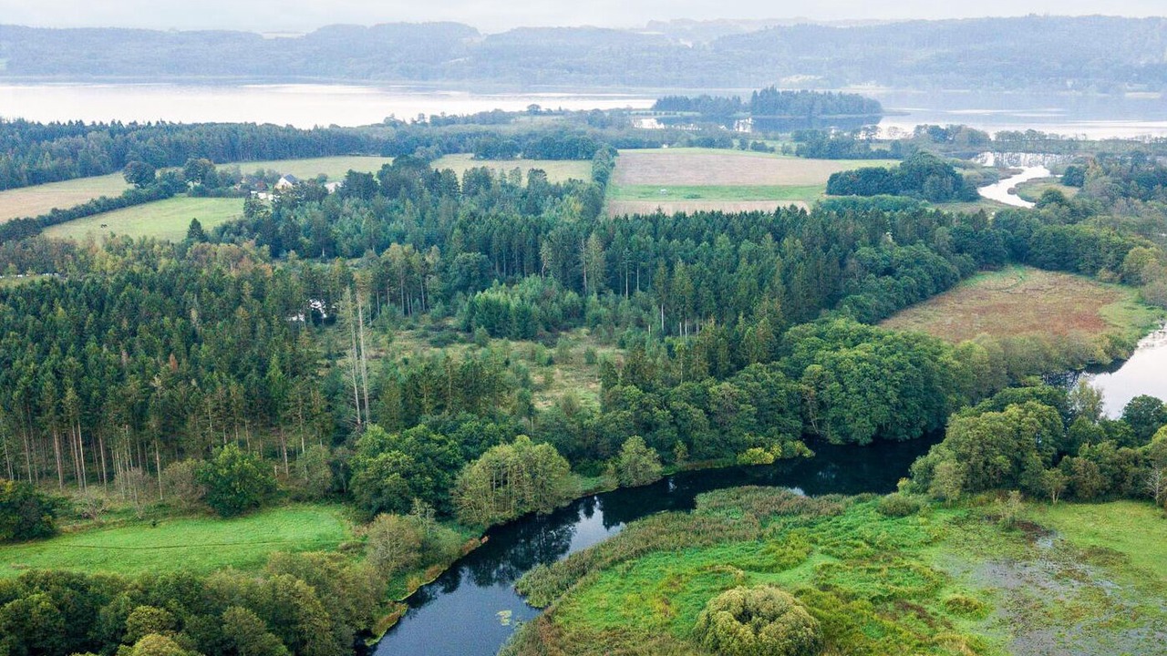 Photo of Others in Ry