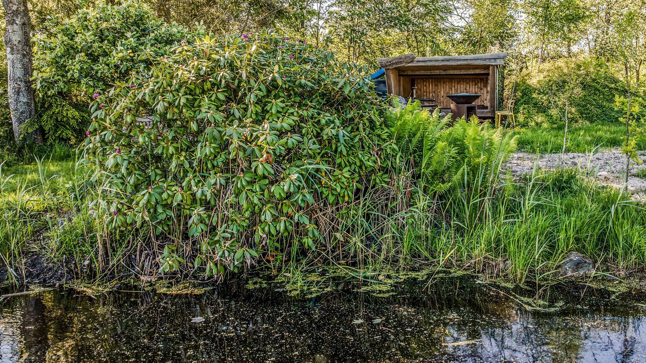 Photo of Others in Ry