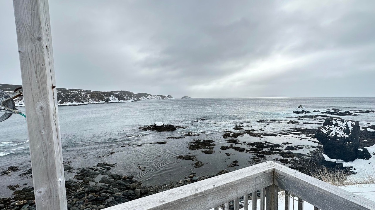 Photo of Others in Fogo