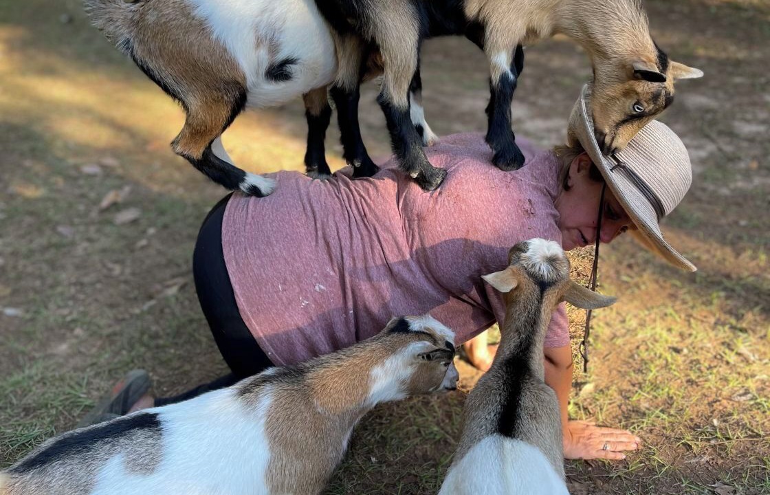 Photo of Bathroom in Tallahassee