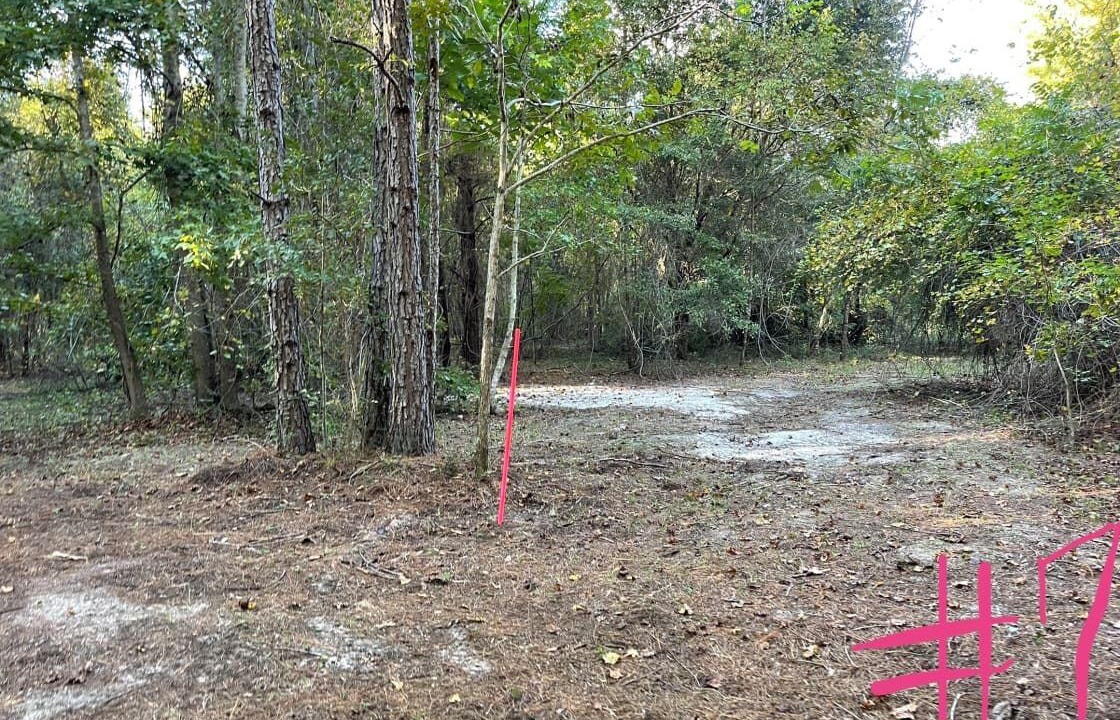 Photo of Outdoor in Tallahassee