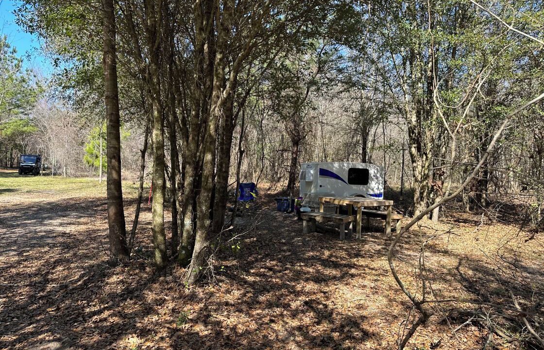 Photo of Outdoor in Tallahassee