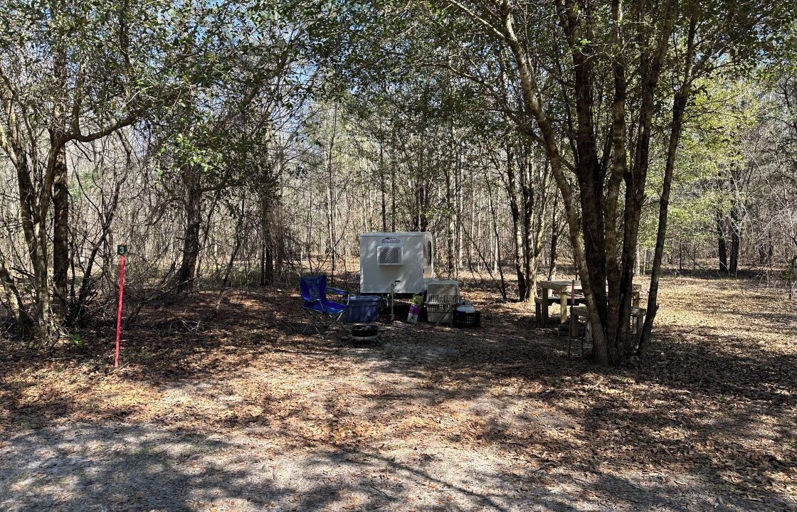 Photo of Outdoor in Tallahassee