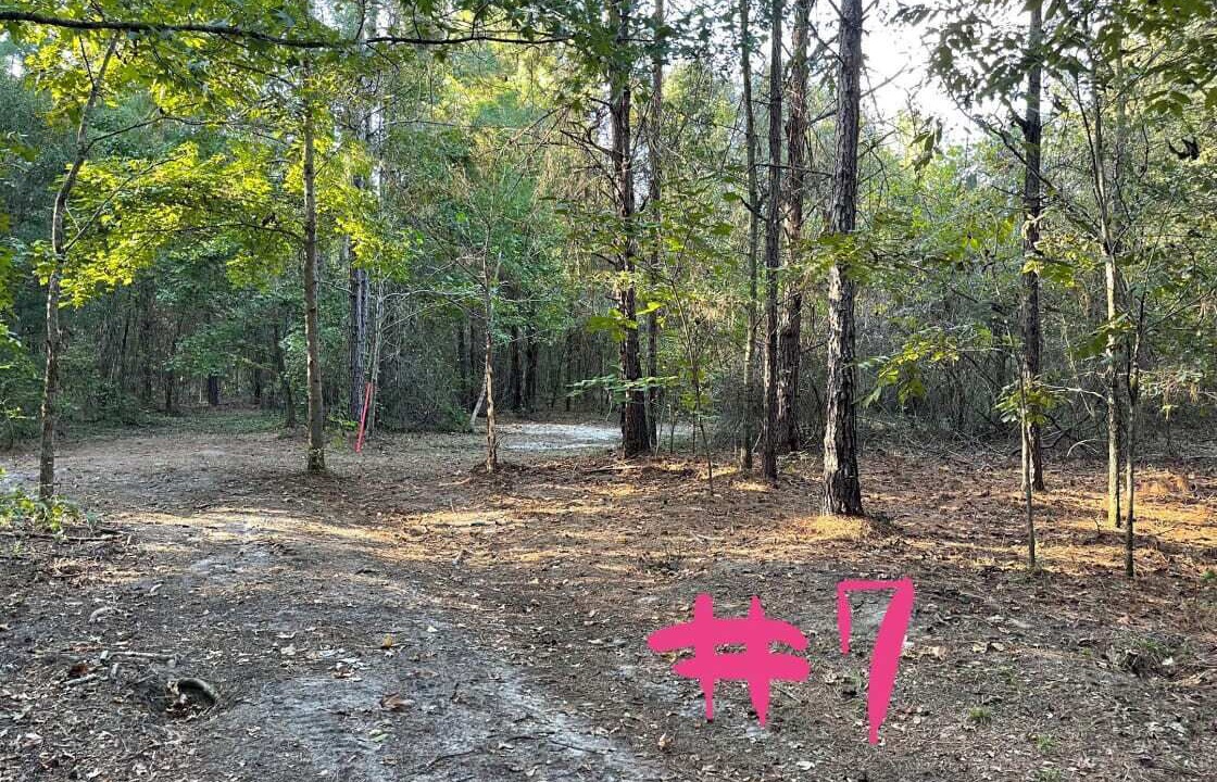 Photo of Bedroom in Tallahassee