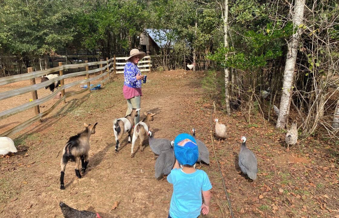 Photo of Others in Tallahassee