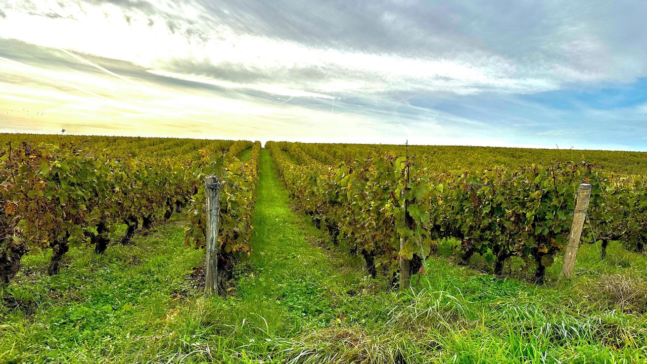 Photo of Outdoor in Montlouis-sur-Loire