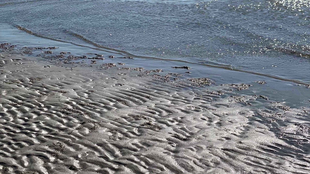 Photo of Others in Grlev