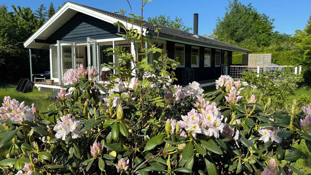 Photo of Others in Udsholt Sand