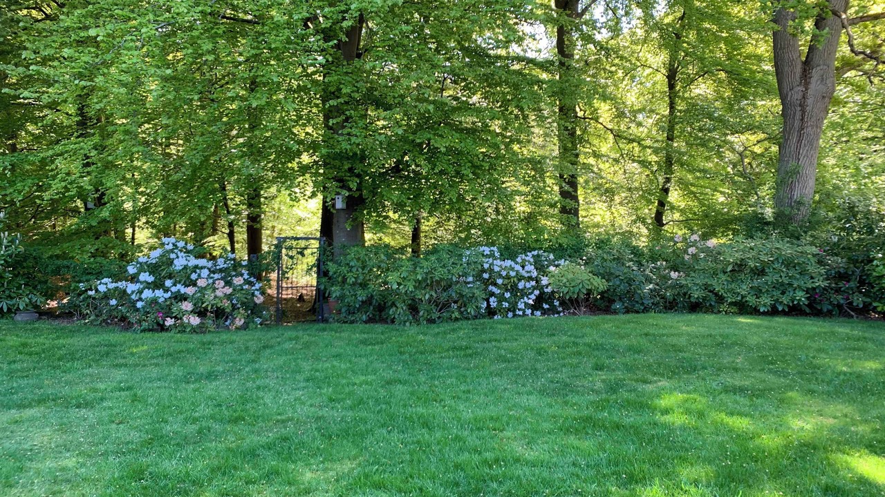 Photo of Others in Alsgarde