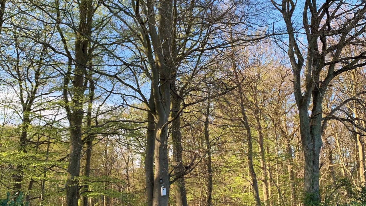 Photo of Others in Alsgarde