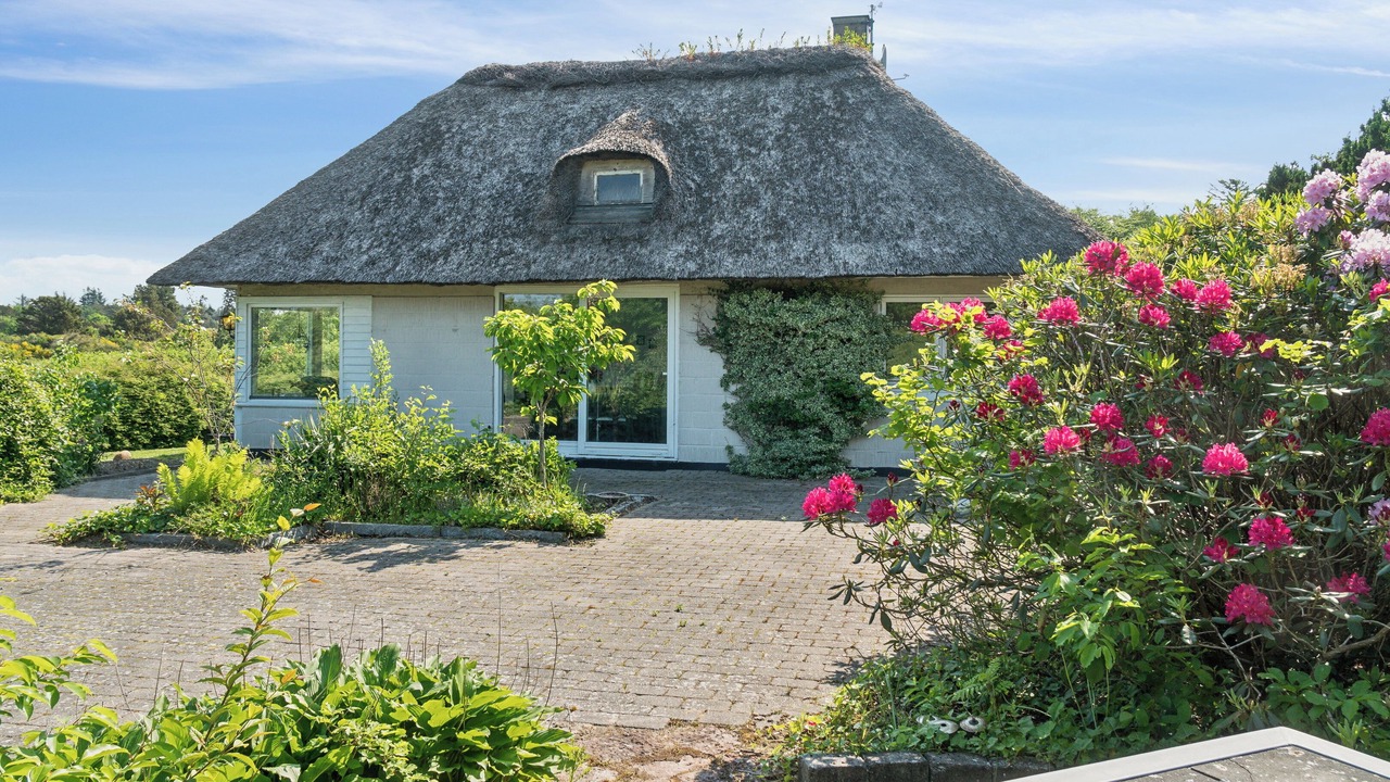 Photo of Others in Ertebølle