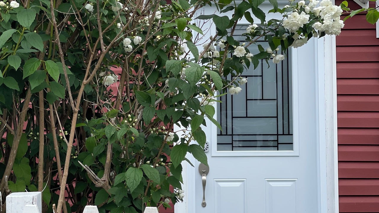 Photo of Outdoor in Downtown St. John's