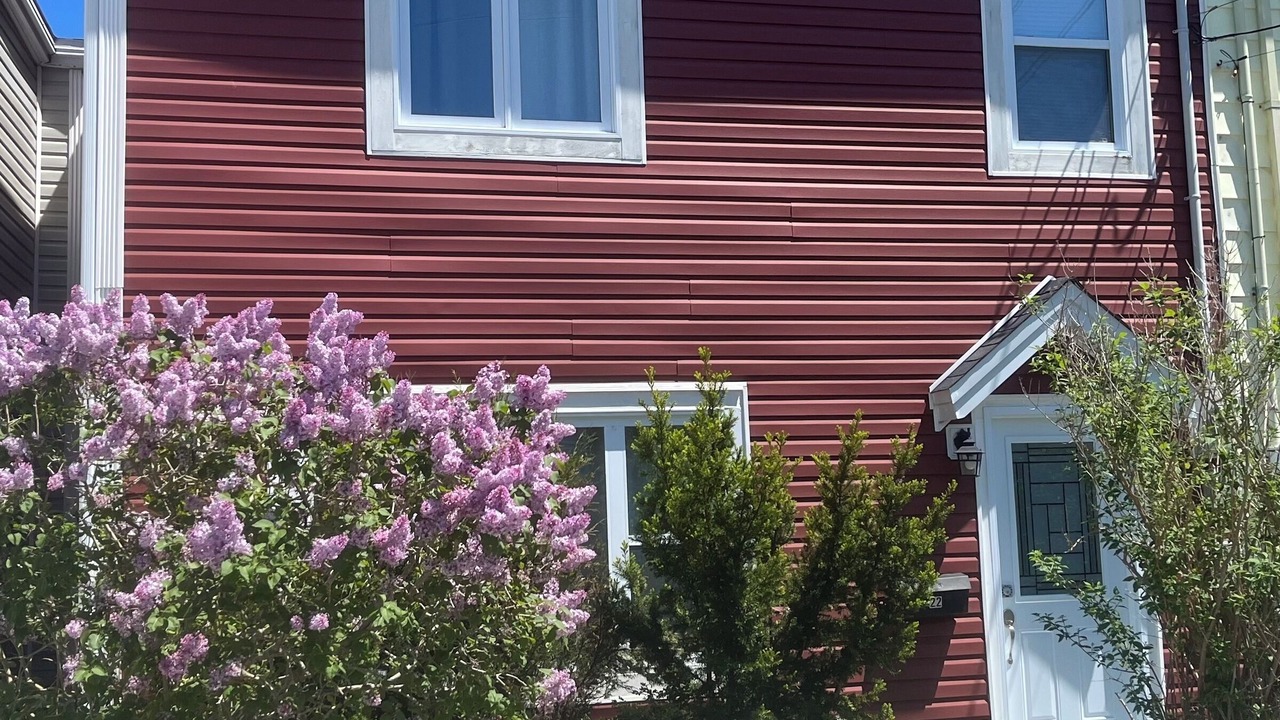 Photo of Outdoor in Downtown St. John's